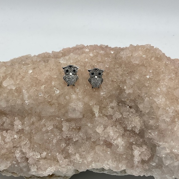 Jewelry - Sterling Silver Owl Earrings